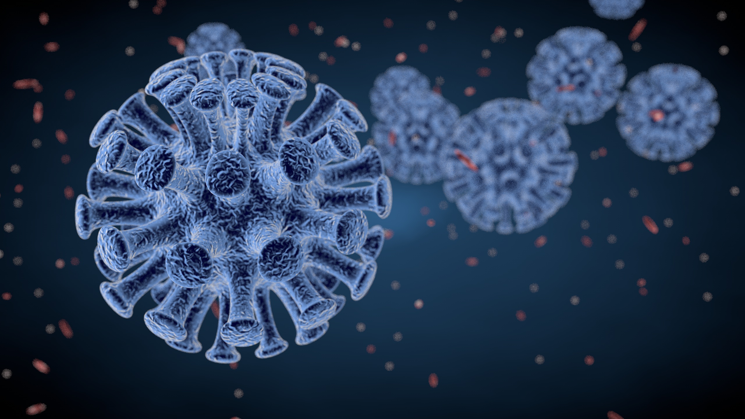 3D visualisation of a virus
